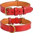 Leather Dog Collar for Medium Dogs, Red, 1 Inch Wide, Genuine Full Grain Leather, Heavy Duty with Soft Inner Padding, Comfortable and Durable (Medium (Fit Neck Size 14.5"18.5"), Red)