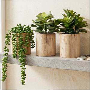 Artificial Succulents with Pots - Set of 3 Small Fake Plants for Aesthetic Room Decor - Realistic Mini Faux Greenery for Office Desk, Bookshelf, and Bathroom - Modern Home Accents