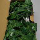 Unittype 15 Pcs 6.6 ft 300 LED Fake Ivy Vines Window Curtain String Light for Bedroom, Artificial Hanging Ivy Vines Plant Garland with Light for Wall Garden Outdoor Indoor Decor(Ivy Leaf)