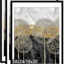 Fxojyvo 18x24 Picture Frame Set of 3, Display Poster 16x20 with Mat or 18 x 24 Without Mat, Light Weight and High Transparent 18 by 24 Frame for Wall - 3 Pack/Black/18 x24