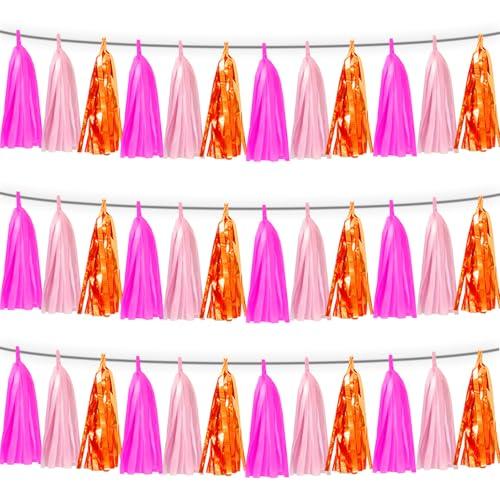 3P Hot Pink Orange LightPink Tassel Banner Garland Foil Fringe Tinsel Streamer Banner Backdrop for Parade Floats, Wall Hanging Curtain Parade Floats, Graduation Decorations, Wedding Party Decoration Hot Pink Orange LightPink