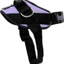 ShawnCo Essential Dog Harness, No-Pull Pet Vest with 3 Leash Clips, No Choke, Reflective, Adjustable and Padded, for Easy Walking and Training for Small, Medium and Large Dogs (ICY Lilac, XS)
