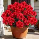 Artificial Flowers for Outdoors, 6 Bundles Realistic Silk Fake Red Geraniums, Faux Plastic Flowers for Outdoor Planters, Hanging Baskets, Window Boxes, Porch, Patio Decor