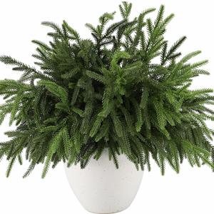 30Pcs Realistic Norfolk Pine Branches -18Inch Artificial Real Touch Christmas Pine Stems Picks Greenery Fake Cedar Pine Branch for Vase DIY Crafts, Xmas Indoor Outdoor Home Decor