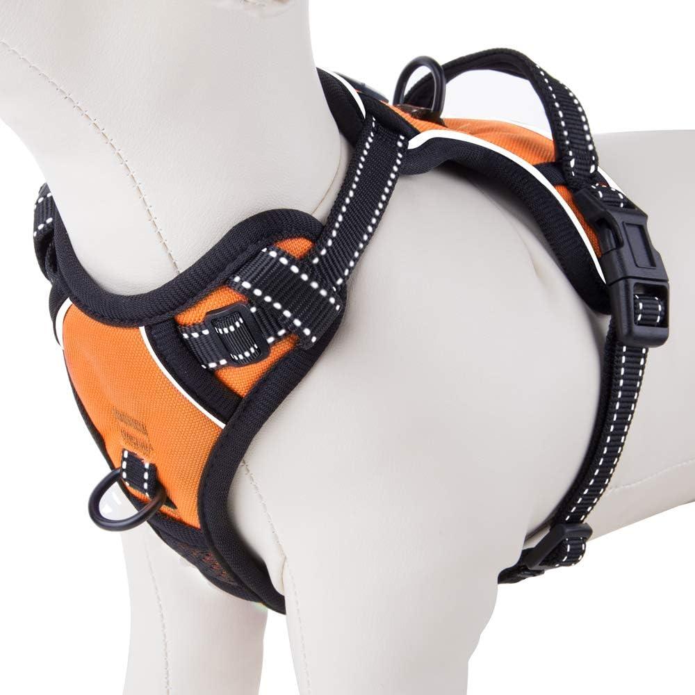 PHOEPET No Pull Dog Harnesses for Small Puppies Reflective Adjustable Front Clip Vest with 2 Metal Leash Clips and Soft Handle(XS, Orange) PHOEPET No Pull Dog Harnesses for Small Puppies Reflective Adjustable Front Clip Vest with 2 Metal Leash Clips and Soft Handle(XS, Orange)