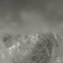 DINGPAl 4 Pack 8oz Double Wall Glass Coffee Mugs,Heat-resistant Borosilicate Glass Mug Cappuccino Espresso Tea Latte Cup with Handle,4 Spoons for Stirring Beverages in Bar,Cafe,or at Home