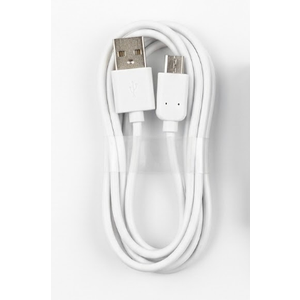 Charger & Female Cable Converter