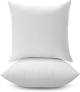 LANE LINEN 18 x 18 Throw Pillow Insert - Pack of 2 White, Down Alternative Pillow Inserts for Decorative Pillow Covers, Throw Pillows for Bed, Couch Pillows for Living Room