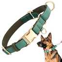 TOBYTO Martingale Dog Collars for Small Medium Large Dogs, No Pull Dog Training Collars Quick Release Buckle Adjustable Martingale Collars Escape Proof, Green(L:17"-21")