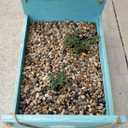 Voulosimi 12 LBS River Rock Stones, Natural Decorative Polished Mixed Pebbles Gravel,Outdoor Decorative Stones for Plant Aquariums, Landscaping, Vase Fillers