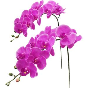 Fnize Artificial Orchid Stems Real Touch Latex Phalaenopsis Branches Faux Cymbidium Flowers 9 Large Petals 38 Inches 2pcs (Rose red)