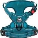 PoyPet No Pull Dog Harness, No Choke Reflective Dog Vest, Adjustable Pet Harnesses with Easy Control Padded Handle for Small Medium Large Dogs(Tumalo Teal,L)