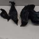 FUNPENY Halloween Black Feathered Crows, Lifelik Halloween Decoration Birds with Real Feather (6 Pack)