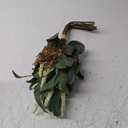 Artificial Greenery Stems Box Set