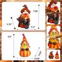 BUTILIVEEN Thanksgiving Gnomes with Pumpkin Figurines, Fall Gnomes Decorations for Tabletop, Mantle and Shelf, Autumn Garden Statue Decor, Hand-Painted, Resin, 7.5Inch