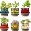 Cute Ceramic Succulent Planters, Garden Pots with Drainage and Attached Saucer, Set of 6 - Plants Not Included