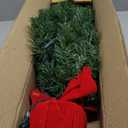 2' Northern Spruce Tree with Red Cloth Base