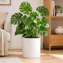 Giraffe Creation 14-Inch Round Cylinder Plant Pot, Modern Indoor/Outdoor Planter with Drainage Hole, Saucer & Water Reservoir, White