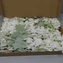 12 Pcs White Delphinium Artificial Flower 34'' Long Larkspur Stem White Fake Faux Silk Flowers Bulk for Tall Vase Floral Arrangements Home Centerpiece Table Wedding Decor