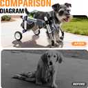 Dog Wheelchair 4 Wheels Adjustable, Full Body Support Dog Cart for Front & Rear Legs, Lightweight Mobility Aid for Disabled Small Dogs