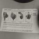 US Weight 30 Pound Canopy Weight Set of 4 with No-Pinch Design - Easy Installation and Removal to Secure Tents, Canopies, and Umbrellas at Outdoor Events