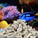 Crushed Coral Filter for Aquarium,Fish Tank Crushed Coral for Freshwater Aquarium Ph Aquarium Bio Filter Media Bag Reusable Aquarium Filter