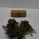 Fake Plants Eucalyptus Stems Greenery Stems 43.3"Branches Tall Faux Plant Stems for Vase, Greenery Decor Stems Leaves Bunches for House of Leaves Shop Garden Office Home Décor 4PCS (Orange)