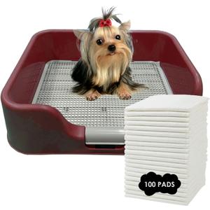 PS KOREA] Indoor Dog Potty Tray with Protection Wall Every Side for No Leak, Spill, Accident - Keep Paws Dry and Floors Clean  + Pee PAD 100 PCS