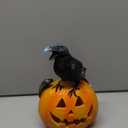 Halloween Pumpkin Solar LED Light Outdoor Solar Powered Garde Decorative Light IP44 Waterproof for Outdoor Home Decor & Halloween Party Decorations-Spider