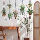 2 x Wall Decals Peel and Stick Hanging Potted Wall Stickers Wall Art Decals for Living Room Bedroom Balcony Corridor Window Entrance Door Mirror Decor