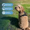 Voyager Dog Harness Dual Leash Attachment No-Pull Control Adjustable Soft but Strong Pet Harness for Dogs with 3M Reflective Technology, Black Nylon, S (Chest: 16-20")