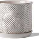 5.8 Inch Plant Pot: Ceramic Planter with Drainage Hole & Saucer for Indoor Outdoor Plants - Flowerpot with Bonded Tray for Home Office - Beaded Embossed Style, Cream White