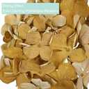 Oairse Sand Brown Hydrangea Artificial Flowers, 19.6in Dried Textured Silk Hydrangea Flowers with Stems 3 Pcs Fake Flower Bouquet Faux Floral Stems Artificial Flower Bulk for Table Wedding Home Decor