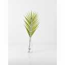 Artificial Palm Leaf In Glass, Realistic Foilage, Minimalist Decor Piece Perfect for Home And Office