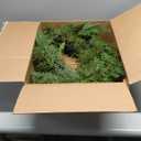 JOJOLEE 72inch Pre-Lit Christmas Garland with Timer Lights, Battery Operated Mixed PE Pine Greenery Garland with Natural Pine Cones, Realistic Evergreen Holiday Mantle Fireplace Stair Doorway Dcor