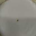 Illume Large Boxed Crackle Glass Candle, Winter White (21.5 oz.)