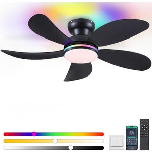 PHORUS 42" Black Modern Low Profile RGB Ceiling Fans with Lights and Remote
