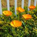 MorningRo 5 Pack Metal Flowers Garden Stake Decor for Outside 25. 2 Inch Metal Flowers Stakes Garden Decorations for Outdoor Yard Patio Lawn Porch Pathway