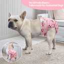 CuteBone Washable Dog Diapers Female No Tail Hole 3 Pack Reusable Doggie Period Training Pants for Docked-Tail Frenchie French Bulldog Boston Terrier Without Tail, M