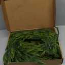 6FT Real Touch Norfolk Pine Garland - Lifelike Artificial Christmas Garland for Mantle, Fireplace, Table, Faux Indoor Outdoor Elegant Holiday Decor