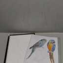 Zocelight A3 Rechargeable Light Box with Stand/ Clips, led Light pad with 3000mAh Battery, 3 Colors dimmable and 6 Level dimming Light Table for Diamond Painting, Drawing, Sketching, Tattoo, Vinyl Weeding