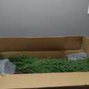 Norfolk Pine Christmas Tree Real Touch Faux Holiday Tree with Pot, Realistic Indoor Outdoor Decoration for Entryway, Living Room, Office, Apartment (5FT- 2Pack)