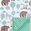 QSTEHEML Baby Blankets for Boys Neutral,Super Soft Nursery Minky Blanket Unisex, Baby Gifts Double Layer with Dotted Backing, Nursery Blanket for Crib Stroller(Bear, 30 * 40inch)