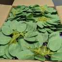 200PCS Artificial Flowers Purple Mixed Series Roses Real Looking Foam Fake Roses with Leaves and for DIY Wedding Bouquets Bridal Shower Centerpieces Party Decorations (Purple Series, 200)