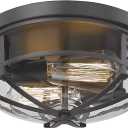 Darkaway Flush Mount Ceiling Light Fixtures Ceiling with Clear Glass Shade, Indoor Outdoor Ceiling Light for Hallway Entryway Bedroom Porch Kitchen 2-Light E26