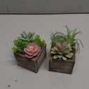 Der Rose 2 Pack Fake Plants Succulents Plants Artificial Cactus Plants in Wood Pots with Pink Flowers for Farmhouse Bathroom Decor