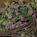 Zeyune 3 Pcs Artificial Dusty Plum Berry Stem Spring Faux Flowers Picks Branches Fake Realistic Sedum Stem Spray for Wedding Holiday Seasonal Farmhouse Mantel Harvest DIY Home Decorations(35 Inch)