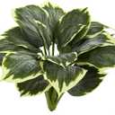 Nearly Natural 23-In Variegated Hosta Artificial Plant, Green
