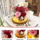 Preserved Flowers Birthday Gifts for Women Forever Rose Gifts for Mom Grandma Wife Valentines Mothers Day Christmas Anniversary Eternal Light Up Red Roses in Glass Dome