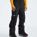 The North Face Men's Freedom Pant Asphalt Grey (Black, S)